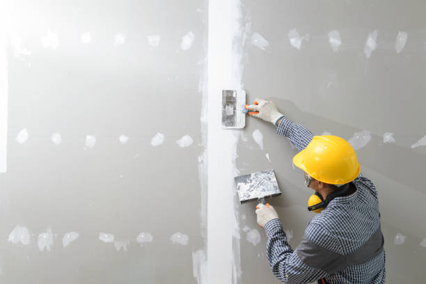 Best Drywall Removal and Disposal  in Forest Ranch, CA